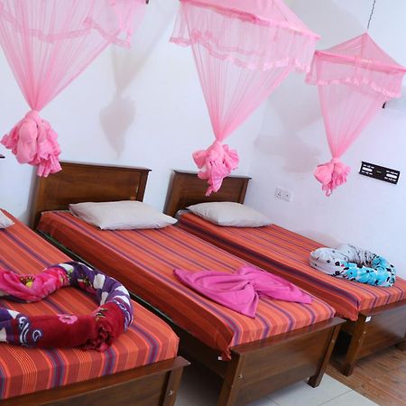 Ayos Hill Adam'S Peak Free Shuttle Hotell Nallathanniya Exteriör bild