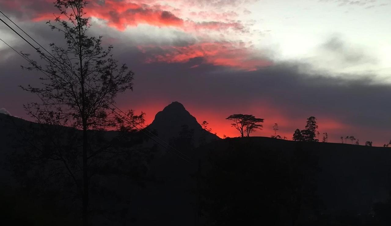 Ayos Hill Adam'S Peak Free Shuttle Hotell Nallathanniya Exteriör bild