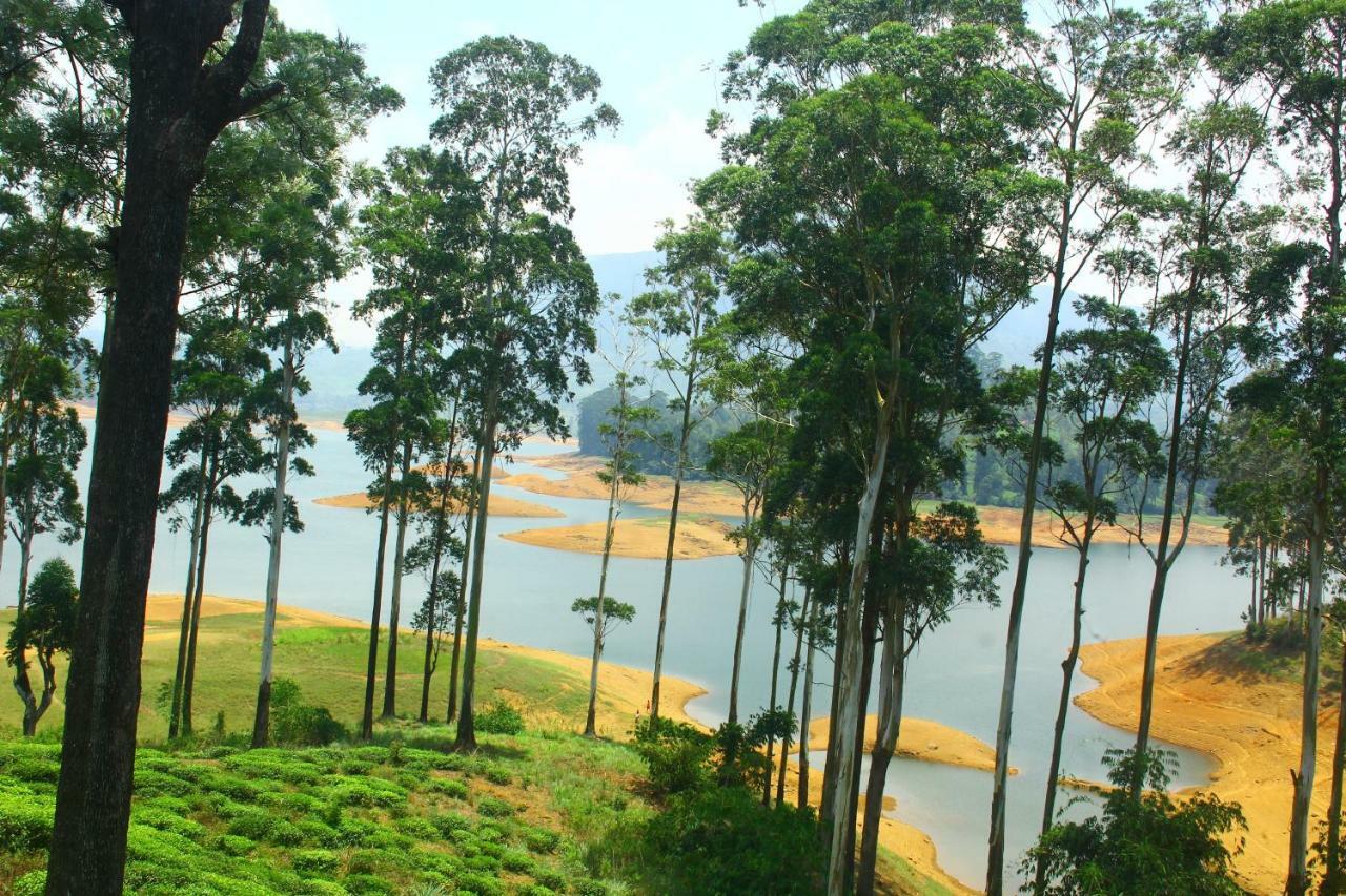 Ayos Hill Adam'S Peak Free Shuttle Hotell Nallathanniya Exteriör bild