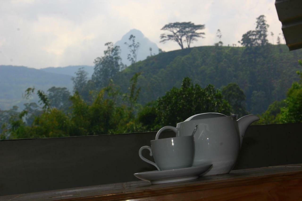 Ayos Hill Adam'S Peak Free Shuttle Hotell Nallathanniya Exteriör bild